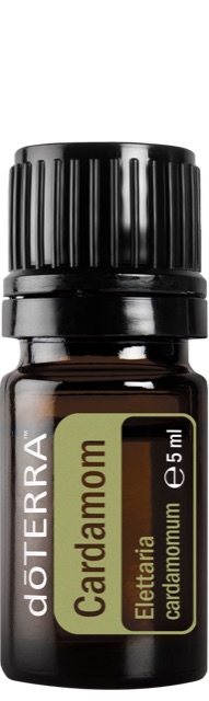 Cardamom (Kardamom)