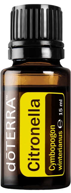 Citronella (Zitronella)