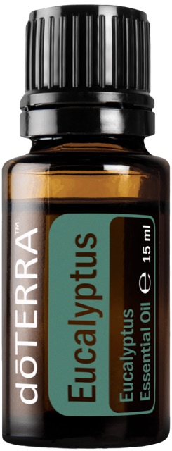 Eucalyptus (Eukalyptus)