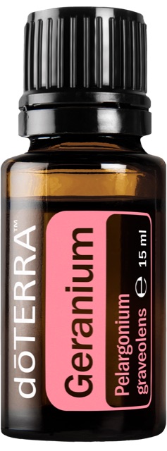 Geranium (Geranie)