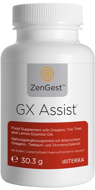 GX Assist™