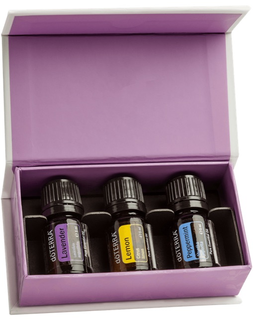 Introductory Kit (10er-Pack)