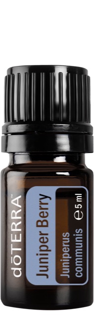 Juniper Berry (Wacholderbeere)