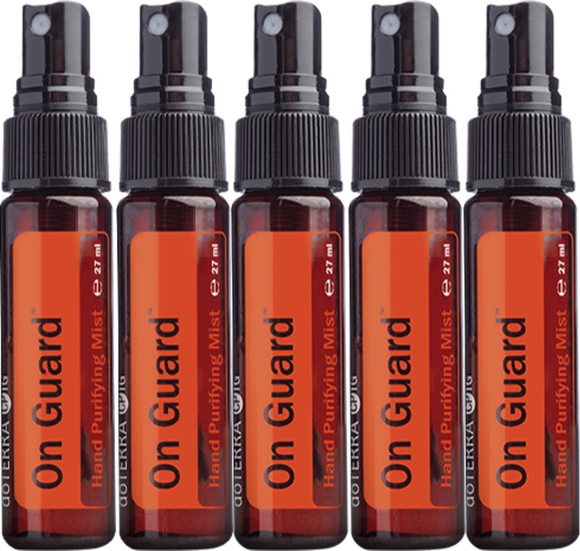 On Guard™ Handreinigungsspray (5er-Pack)