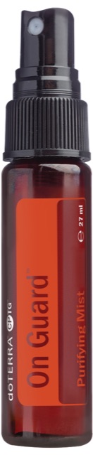 On Guard™ Handreinigungsspray