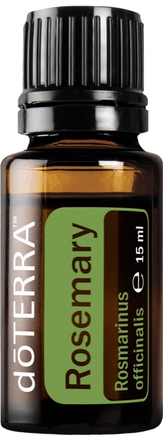 Rosemary (Rosmarin)