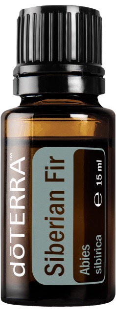 Siberian Fir (Sibirische Tanne)