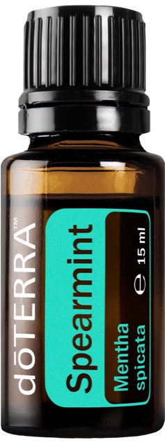 Spearmint (Grüne Minze)