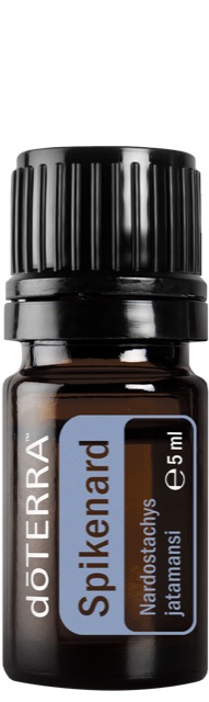 Spikenard (Indische Narde)